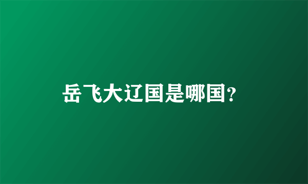 岳飞大辽国是哪国？