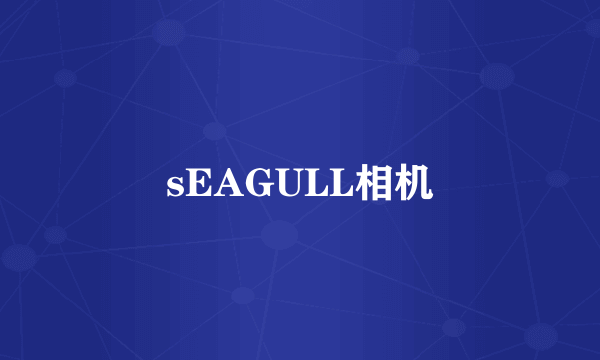 sEAGULL相机