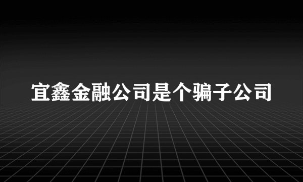 宜鑫金融公司是个骗子公司