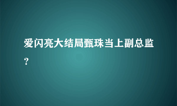 爱闪亮大结局甄珠当上副总监？