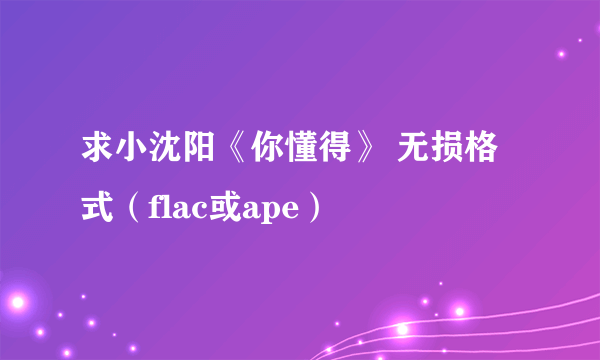 求小沈阳《你懂得》 无损格式（flac或ape）